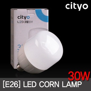 씨티오 LED 크림벌브 30W E26 글러브램프 보안등